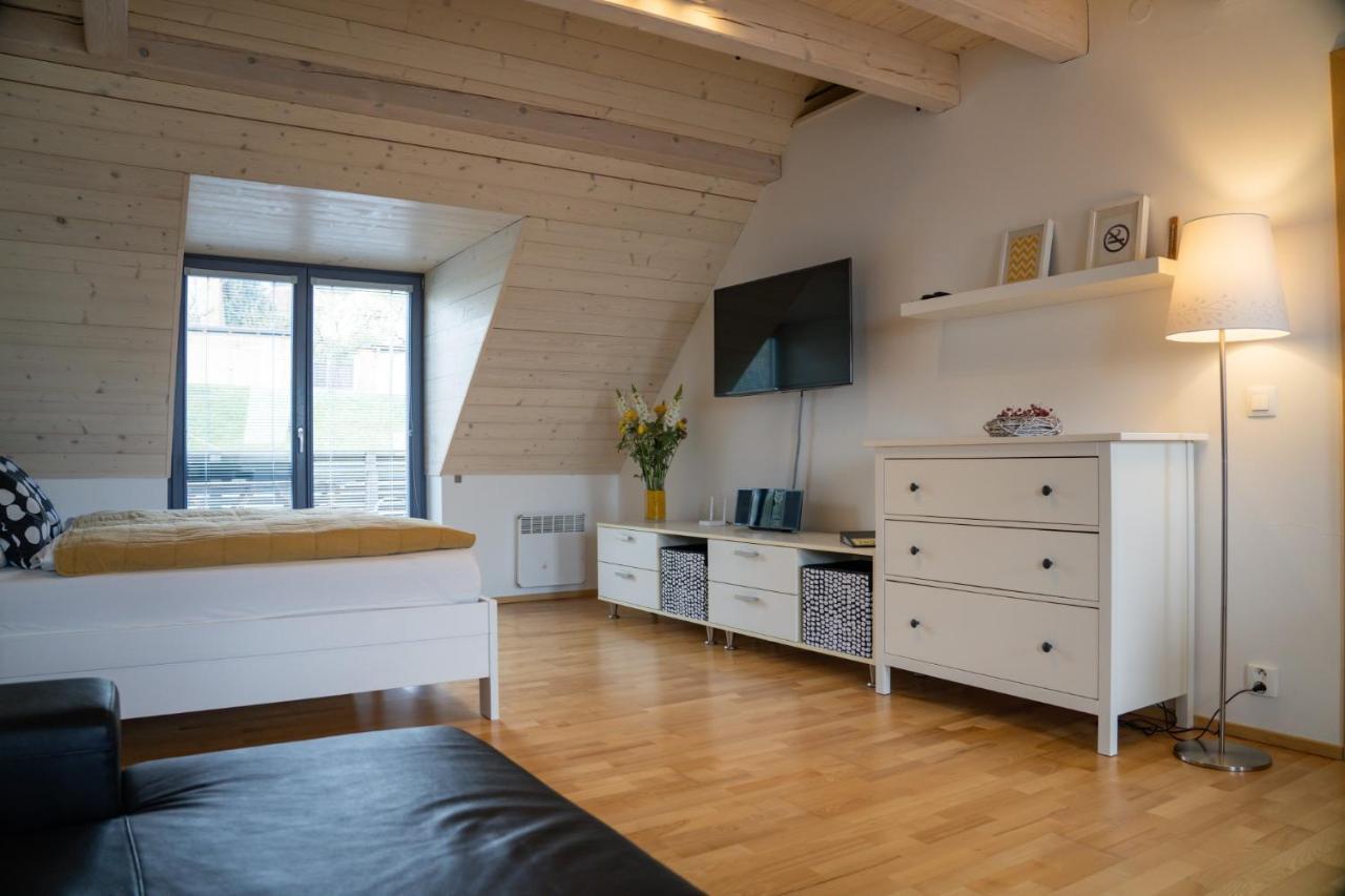 Stylovy Apartman C. 8 U Venuse, Pavlov U Mikulova 외부 사진